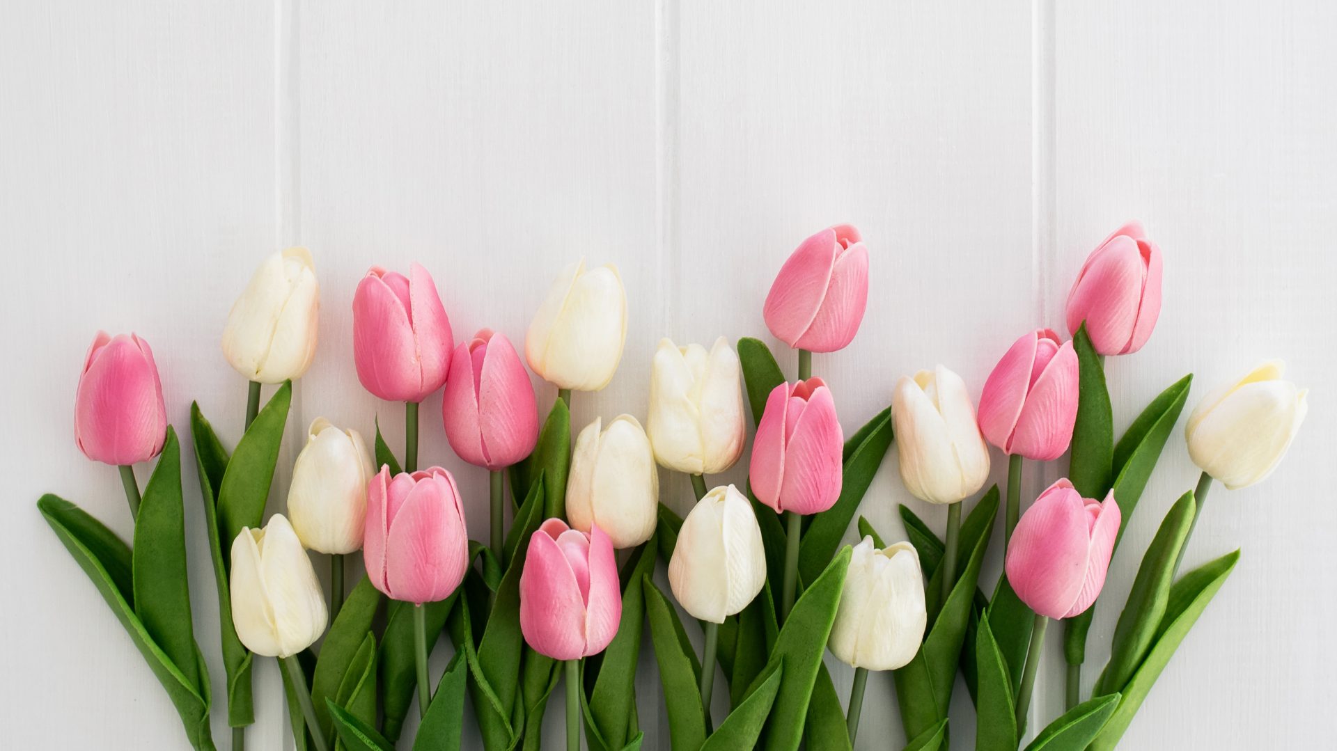 Открытки с днём рождения женщине тюльпаны