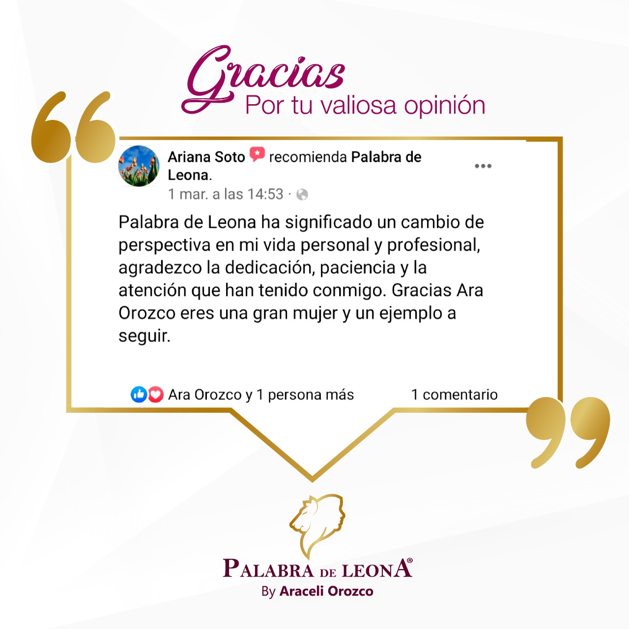 Opinión PDL 27